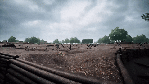 giphy.gif