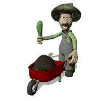 gardening-tips-2013.gif