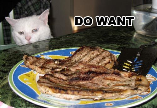 do-want1.jpg