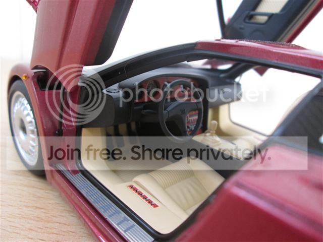 IMG_0600_zps8b4dfcd8.jpg