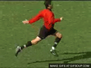 gayref-gif.16045