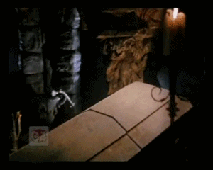 bW8GjWp.gif