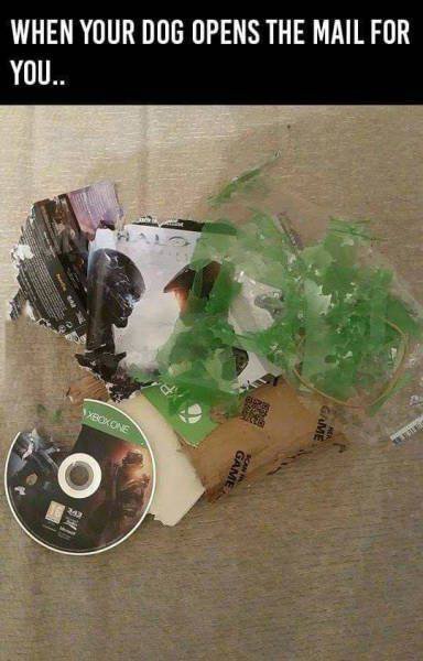picdump-16-11-25-019.jpg