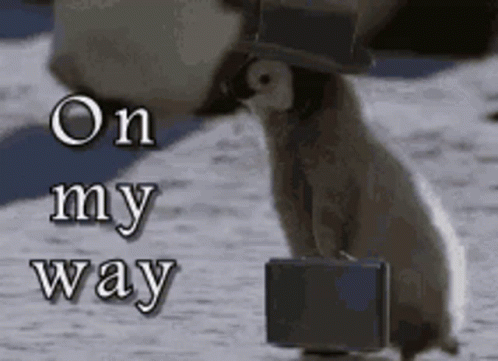 tenor.gif