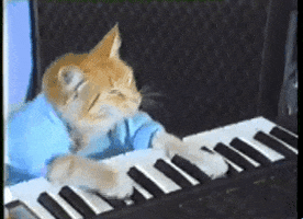 200.gif