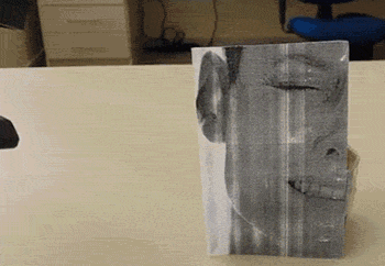 hornoxe.com_gifdump152_30.gif