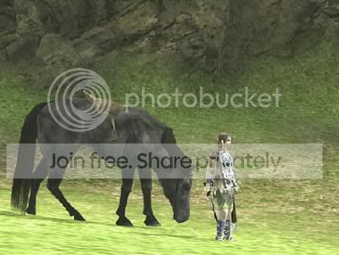 sotc1.jpg