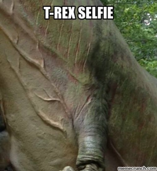 thumbs_picdump390_095.jpg