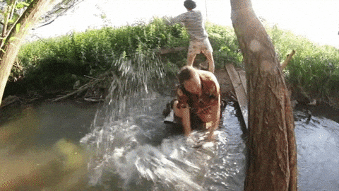 giphy-downsized-large.gif