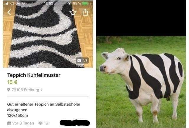picdump609_038.jpg