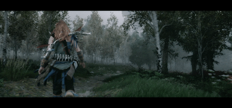5114cn8.gif