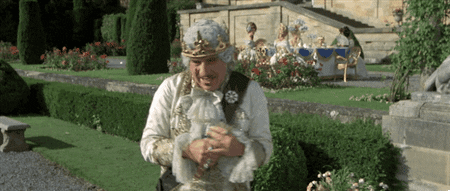 giphy.gif