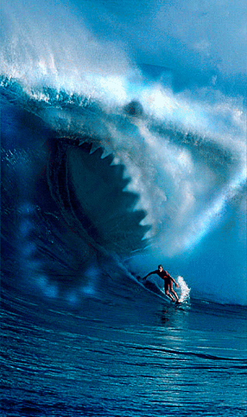 tumblr_oli07koknp1rir0h2o1_500.gif