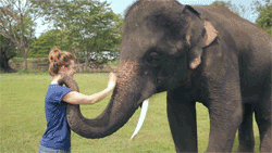 animated-gifs-59-003.gif