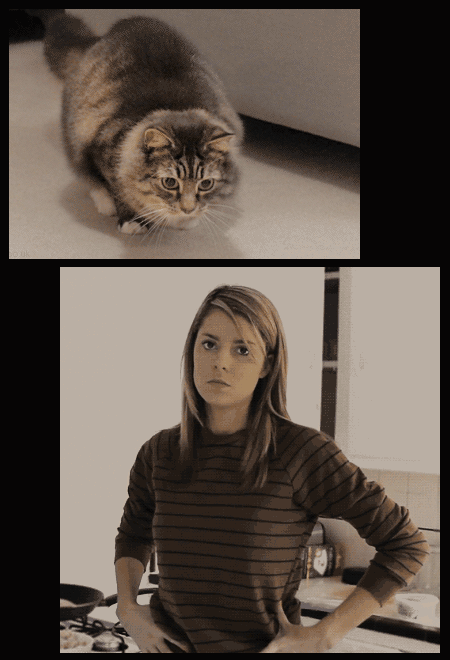 8L55r8J.gif