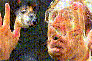 giphy.gif