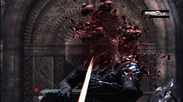 gowheadshot.jpg