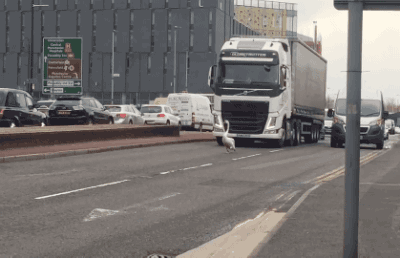 tumblr_o54k5xBm5y1uluepno1_400.gif