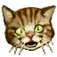 Iw5_cardicon_cat.png