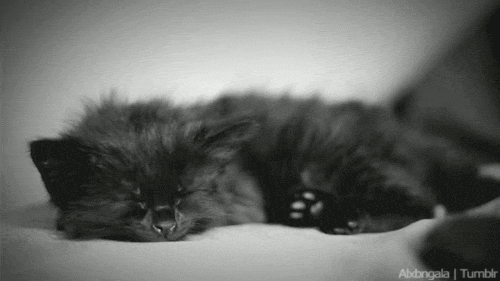 hornoxe.com_gifdump20_27.gif