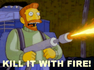 kill-it-with-fire.gif