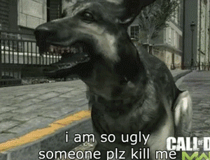 2521371-9803646653-eed.g.gif