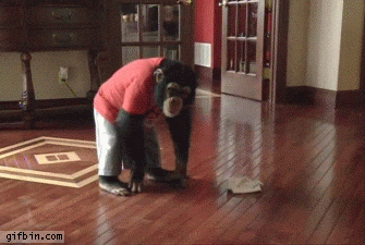 giphy.gif