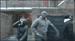 giphy.gif
