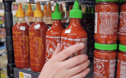 giphy.gif