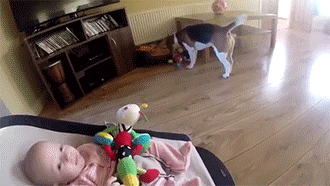 tumblr_n947nr69MZ1rc7zl1o6_r1_400.gif