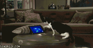 hornoxe.com_gifdump68_23.gif