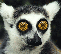 1135148-eyes.gif