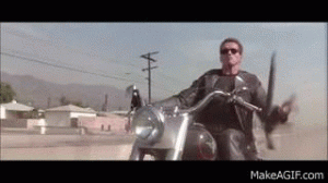 f4yQSr-300x168.gif