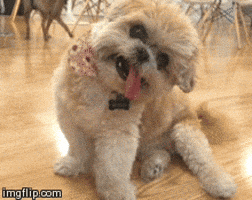 200.gif