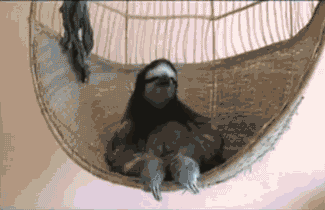 tumblr_lyqqd2QGZQ1r3xd4e.gif