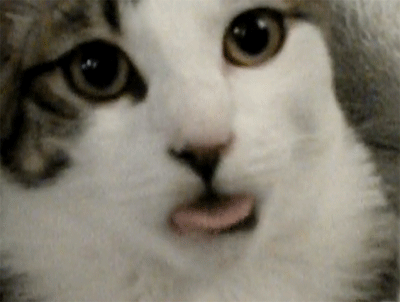 SfZK9X6.gif