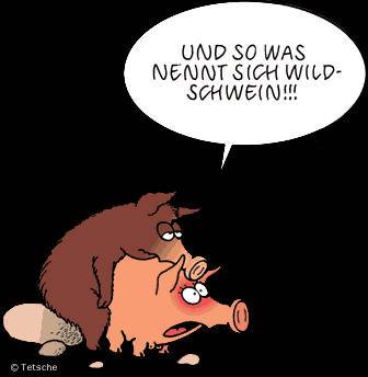 wildschwein.jpg