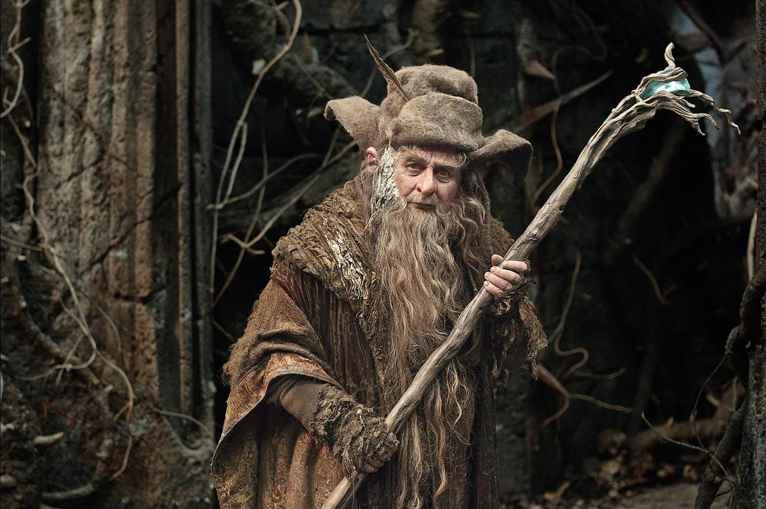 Radagast_%40.jpg