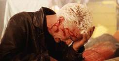 tumblr_ltlipzWUhy1r5r5uqo1_250.gif
