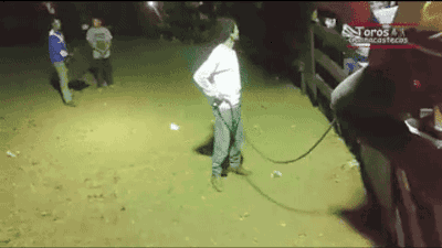 tumblr_ny48sw2J2i1uluepno1_400.gif