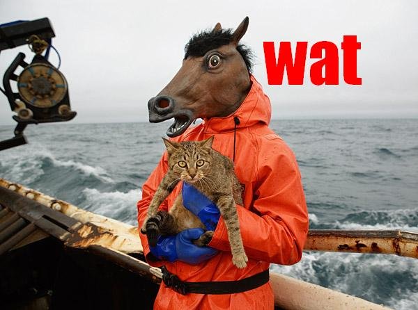 4Ipty.jpg