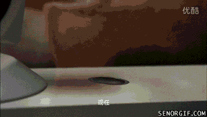 giphy.gif