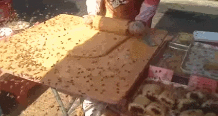 caRcKIT.gif