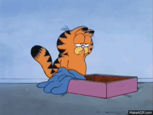 giphy.gif
