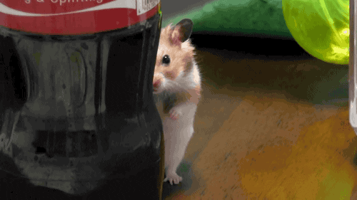 source.gif