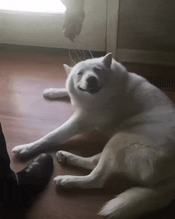 yu7l9tmxj5sy.gif