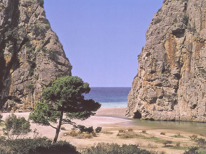saCalobra.jpg
