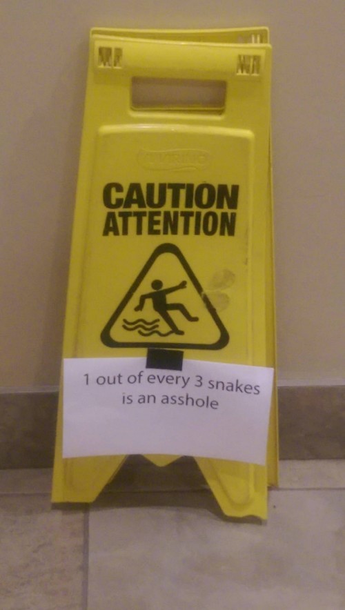 thumbs_picdump439_75.jpg