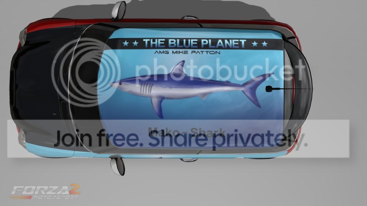 MakoShark.jpg