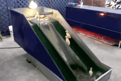 tumblr_oczrk06WHW1s02vreo1_400.gif